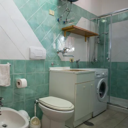 Ibisco * ピショッタ